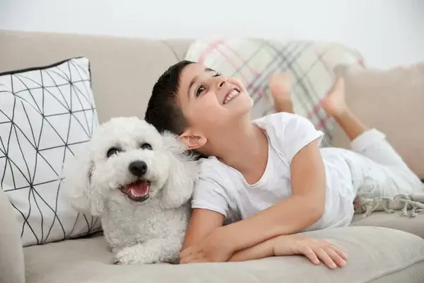 little-boy-bichon-frise-dog